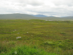 Das Rannoch Muir