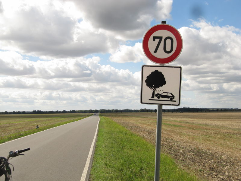 Schild warnt vor Bäumen - keine Bäume