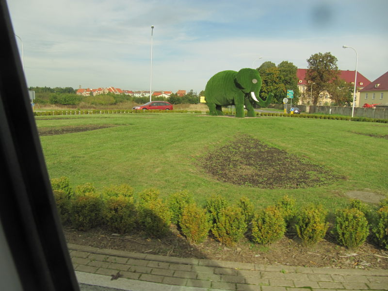 Elefant im Kreisverkehr