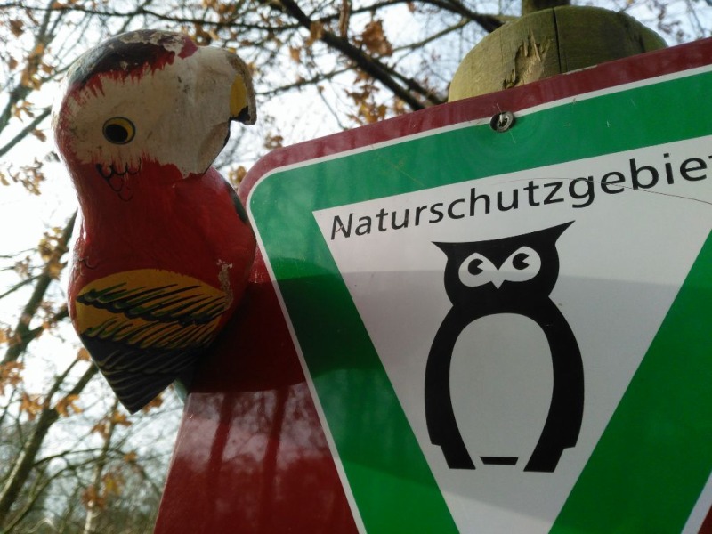 Naturschutzpapagei