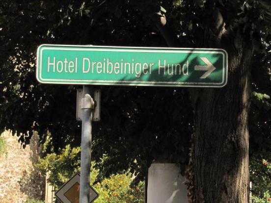 Hotel dreibeiniger Hund