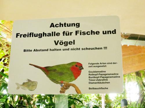 Freiflug für Fische und Vögel