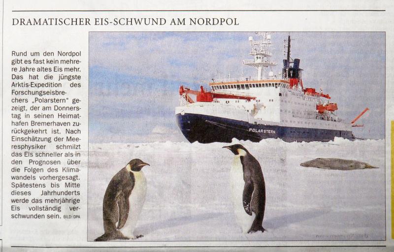 Pinguine und Nordpol