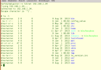 Mit Telnet sehe ich das Hauptverzeichnis des Rechners