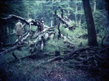 ein altes verfärbtes Familienfoto