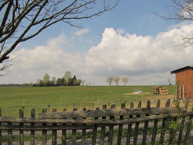 Dankerode-Campingplatz 6