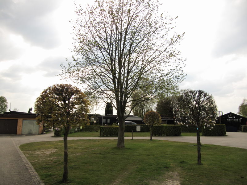 Campingplatz am Hardausee 1