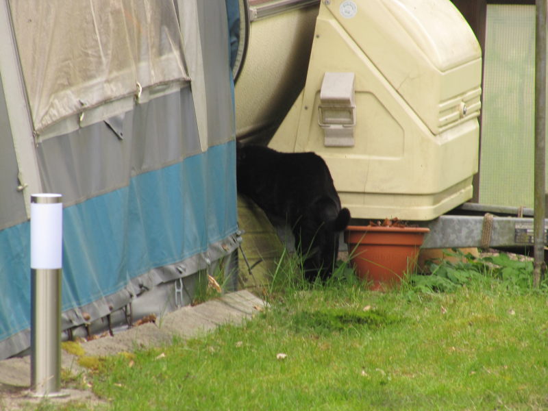 Campingplatz am Hardausee 1