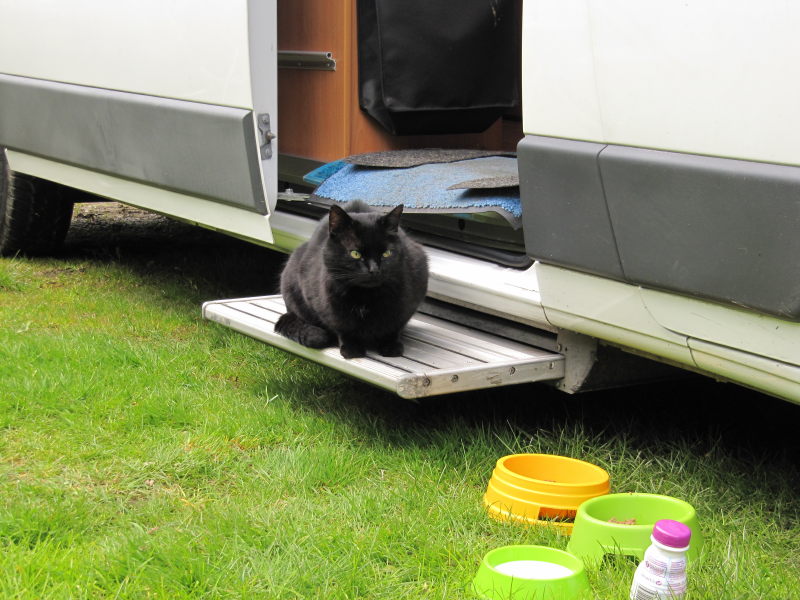 Campingplatz Eulenburg 4