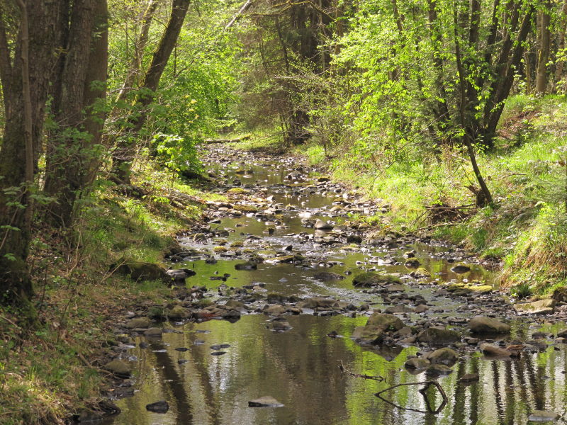 Campingplatz Eulenburg 1