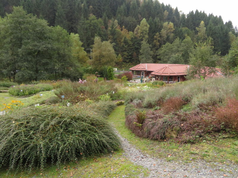 Altenau Käutergarten 1