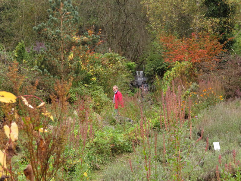 Altenau Käutergarten 2