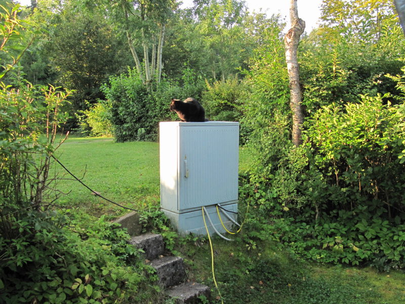 Campingplatz Waldwiese Birkenfeld 2