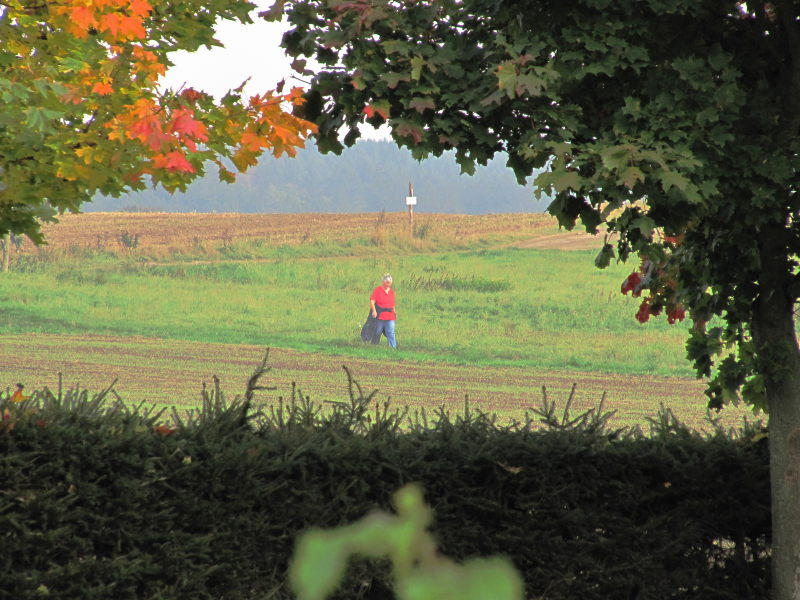 Dankerode Waldtour 20