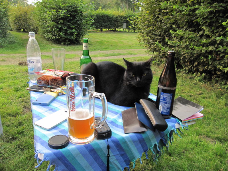 Campingplatz Waldfrieden bei Grefrath 2