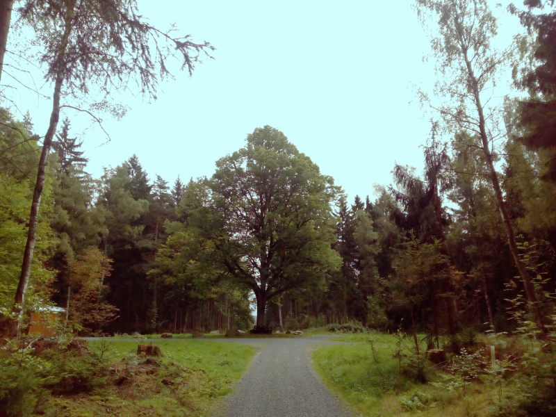 Wanderung am Halali-Park 1