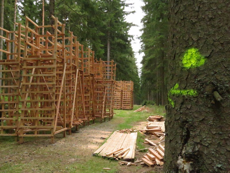 Wanderung am Halali-Park 1