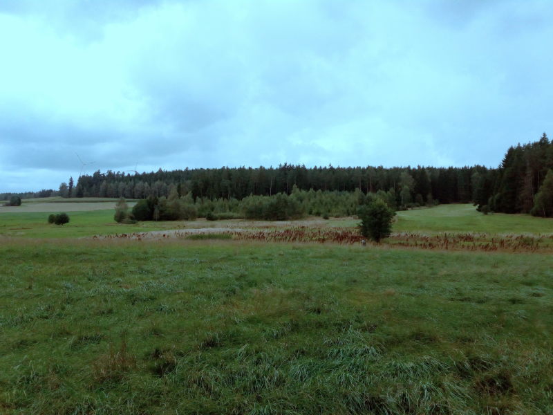 Wanderung am Halali-Park 1