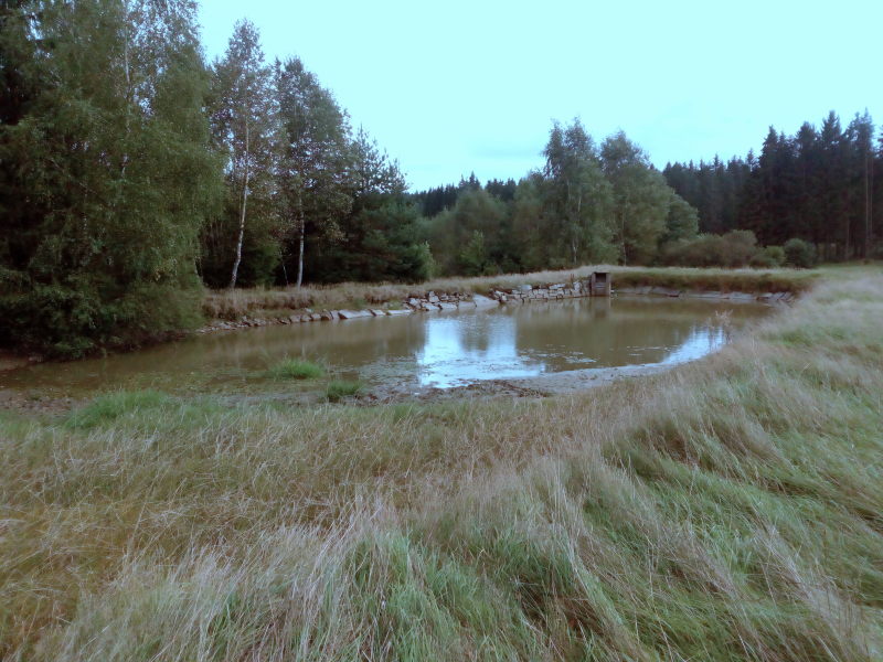 Wanderung am Halali-Park 1