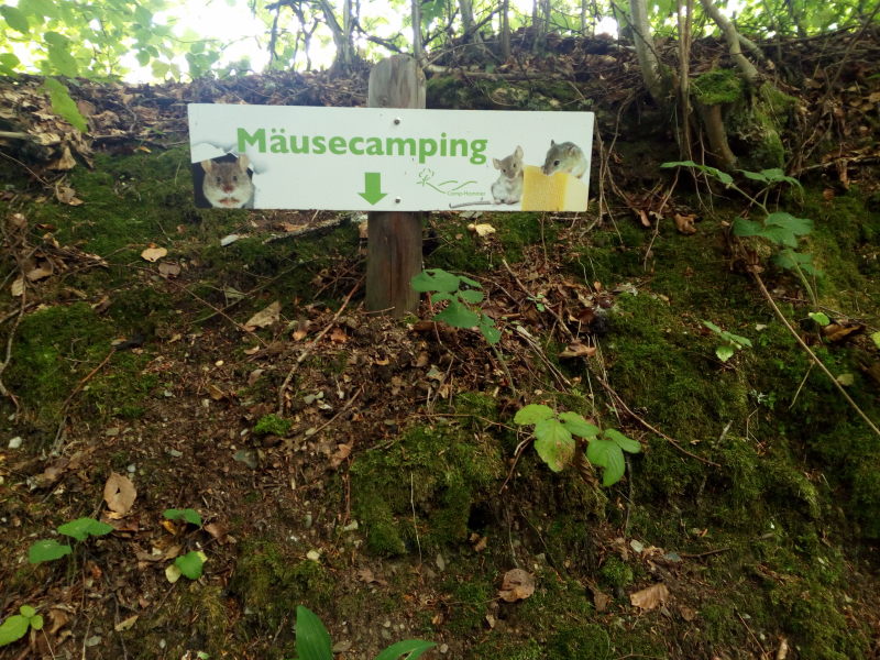 Mäusecamping