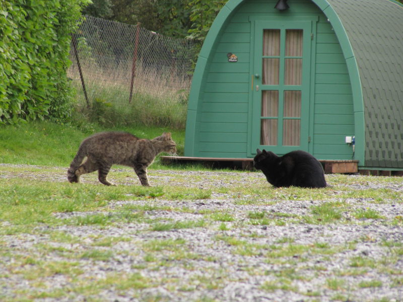 Bilder vonm Campingplatz