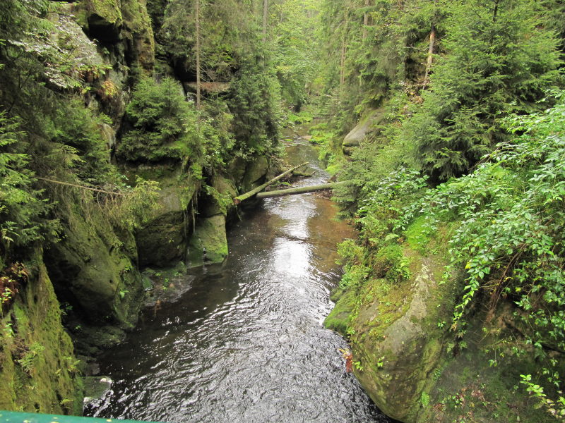 Kirnitzschklamm Bootsfahrt 7