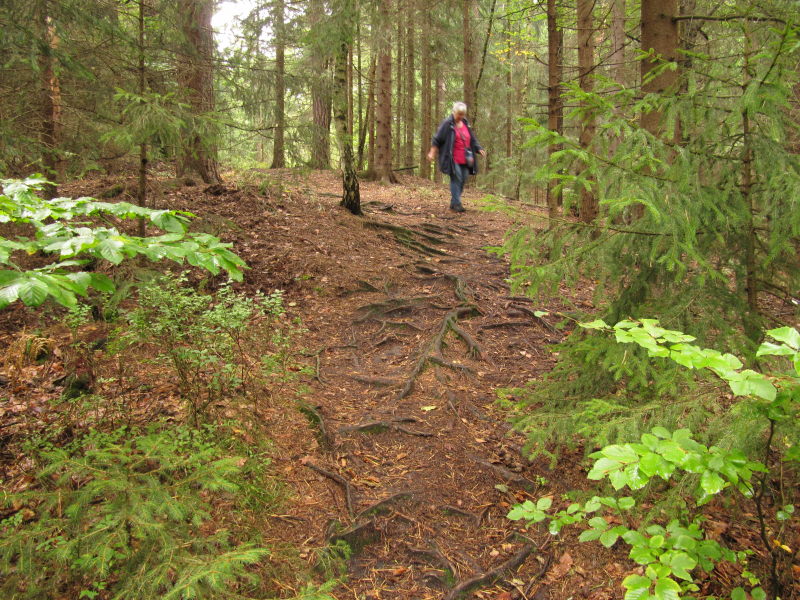 Wanderung zur Klamm 6