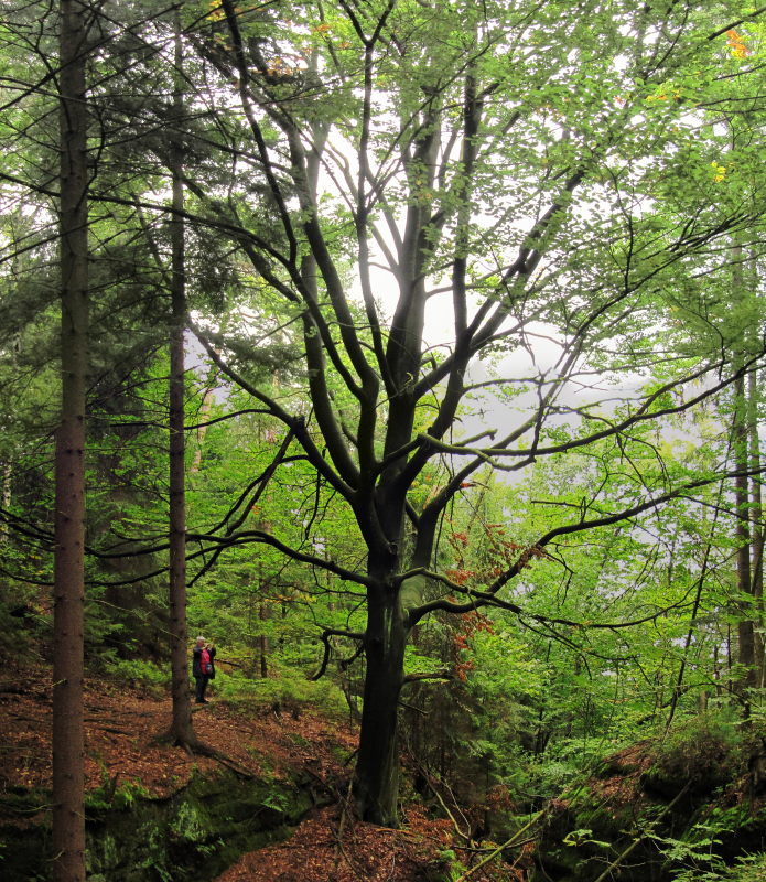 Wanderung zur Klamm 7