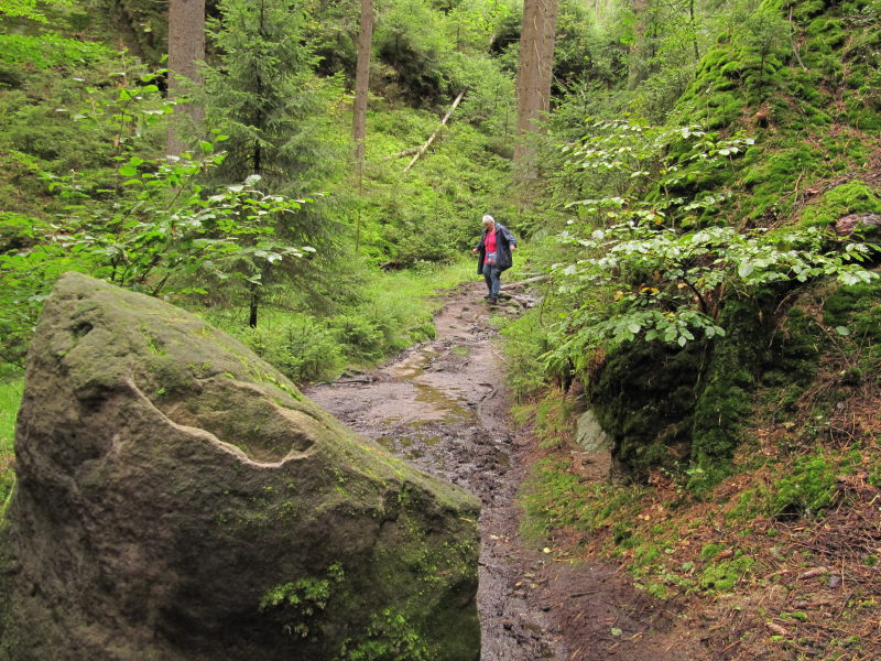 Wanderung zur Klamm 8