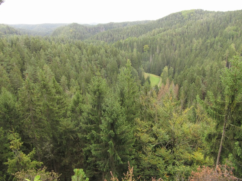 Wanderung zur Klamm 4