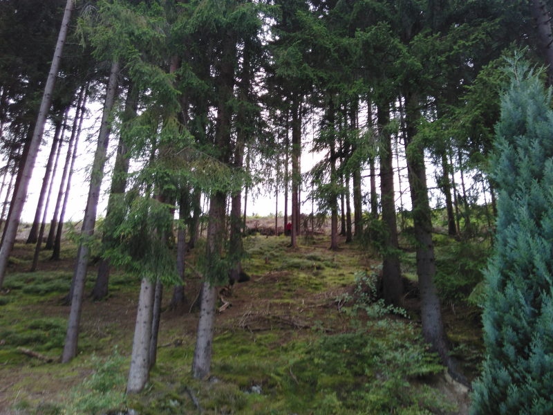 Bernstein und ich beim bergsteigen 1