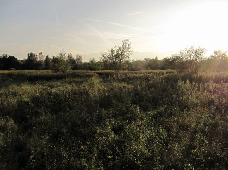 Meißendorf Naturpark 1