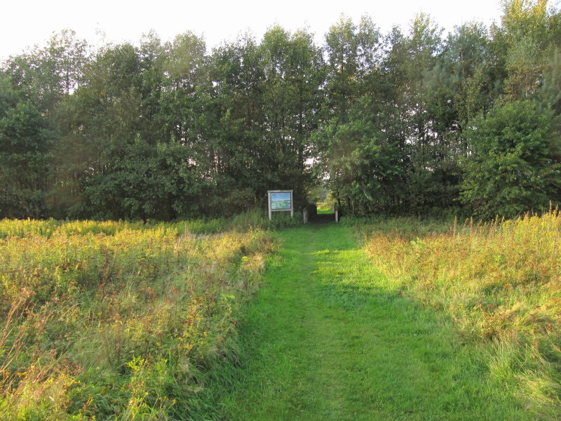 Meißendorf Naturpark 2