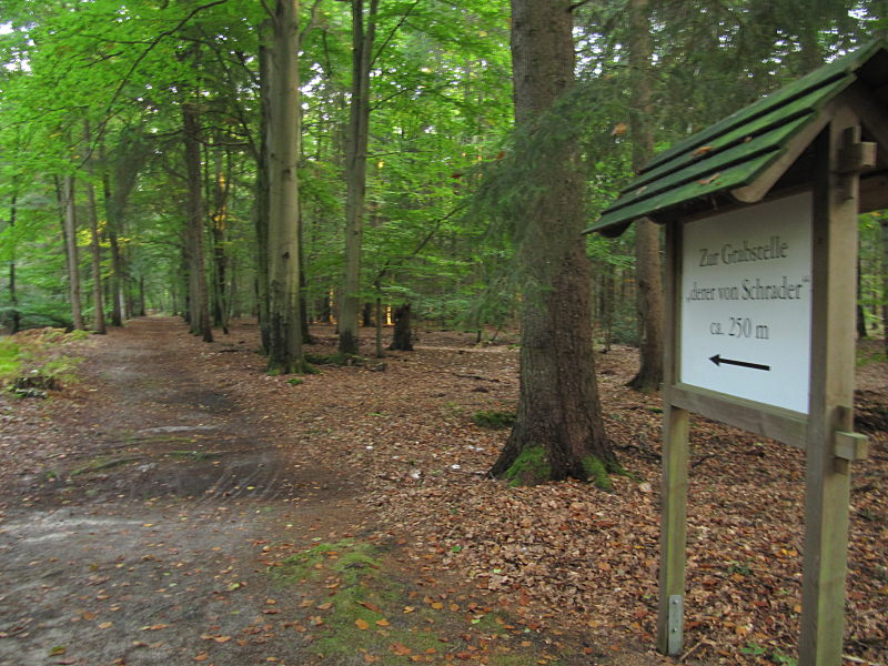 Meißendorf Naturpark 5