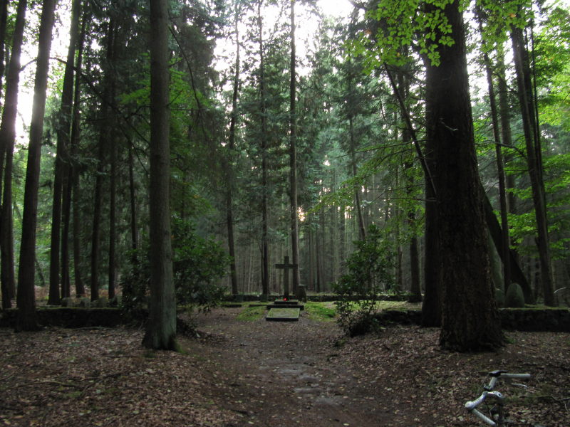 Meißendorf Naturpark 7