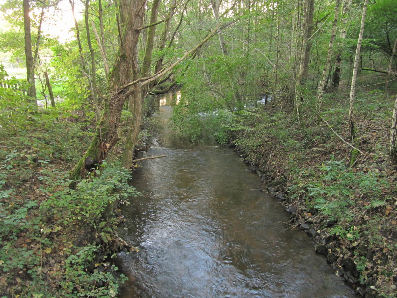 Meißendorf Naturpark 4