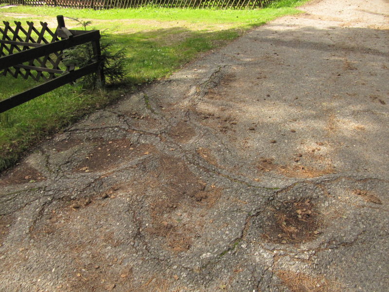 Campingplatz Nordoststrand 1