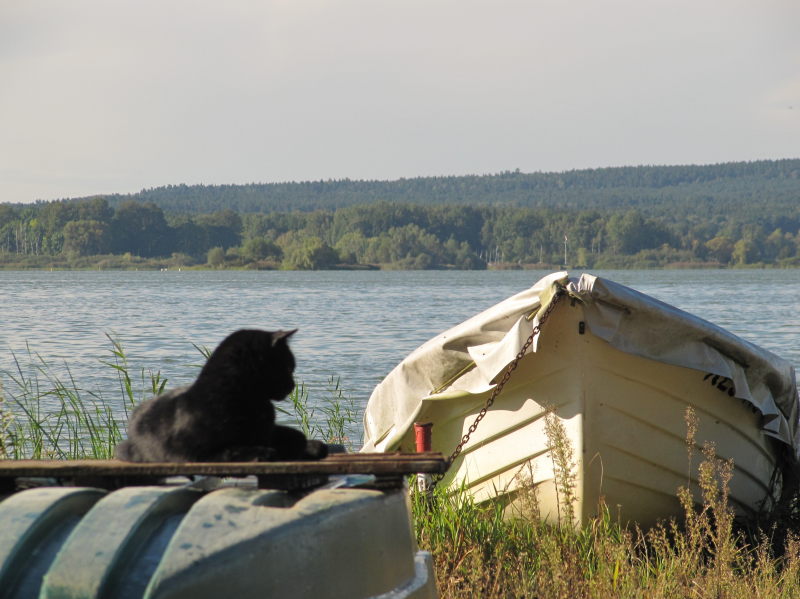 Campingplatz Nordoststrand 1