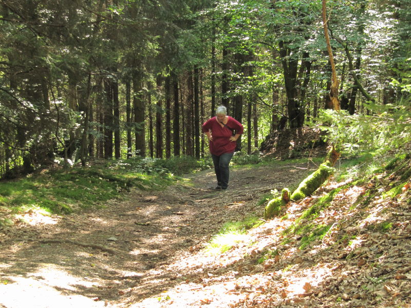 Spaziergang am Riffelsbach 1