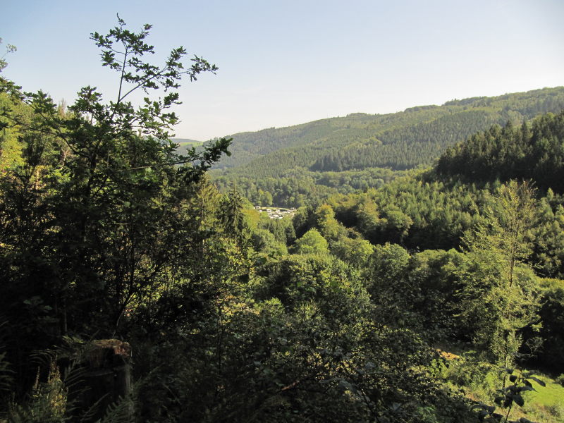 Spaziergang am Riffelsbach 2