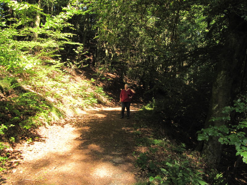 Spaziergang am Riffelsbach 5