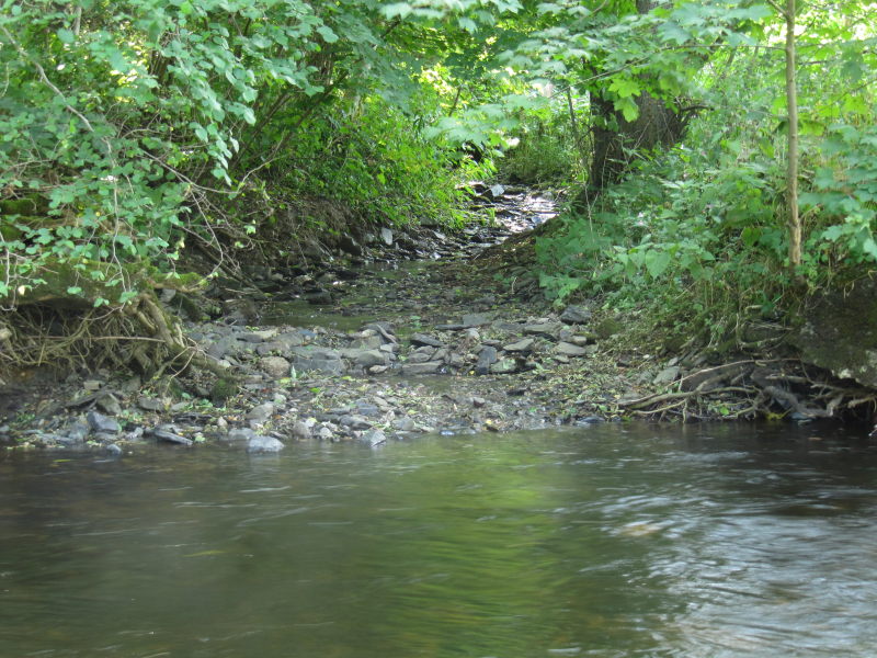 Spaziergang am Riffelsbach 8