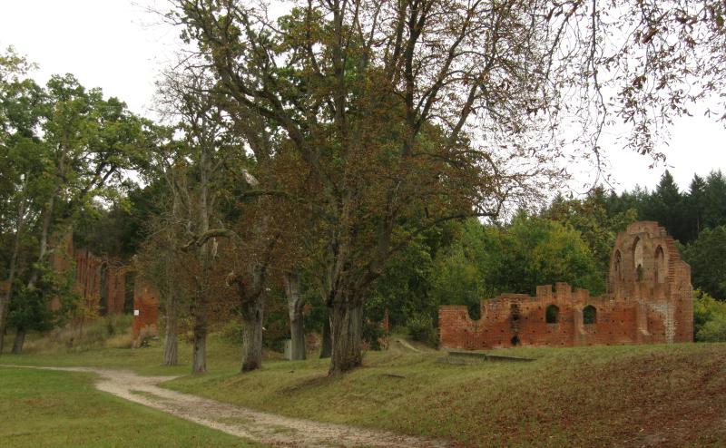 Boitzenburg-Klosterruine