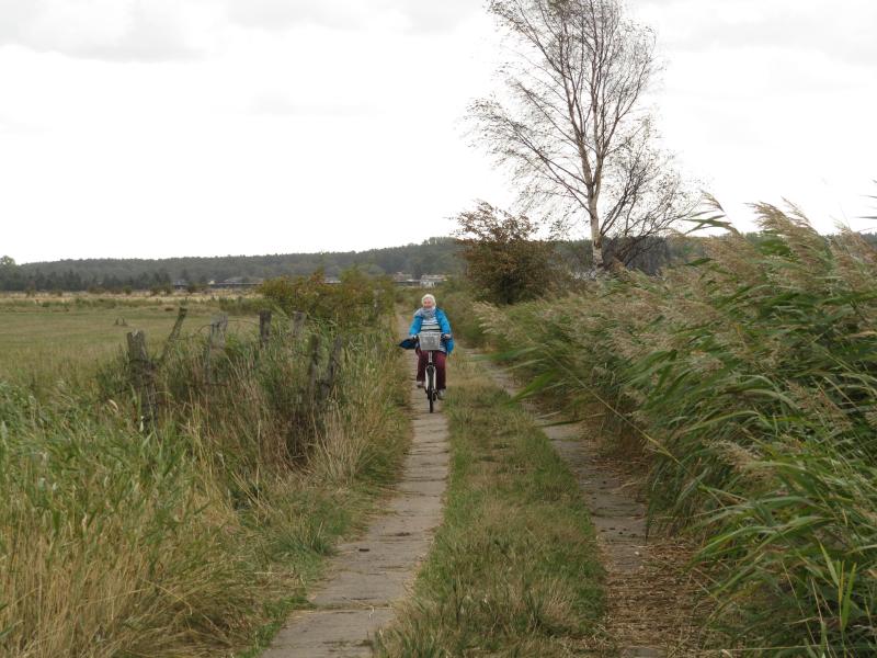 Freest-Radfahren