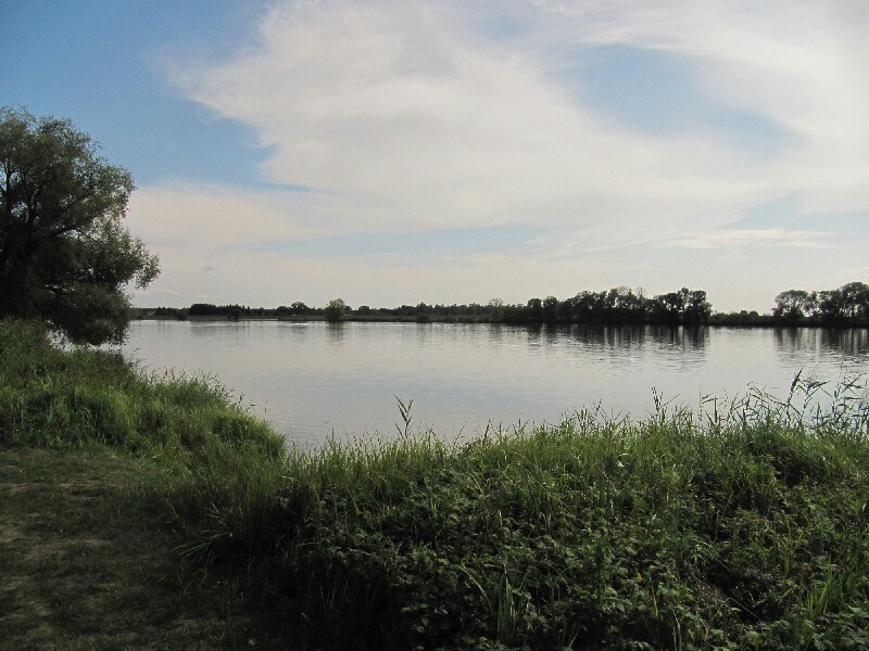 Blick zur Elbe