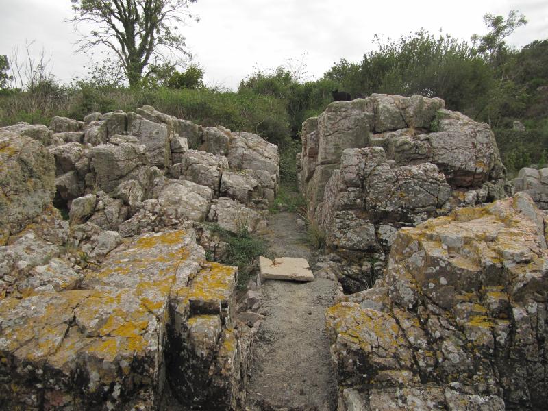 Gudhjem-Felsen-Kater