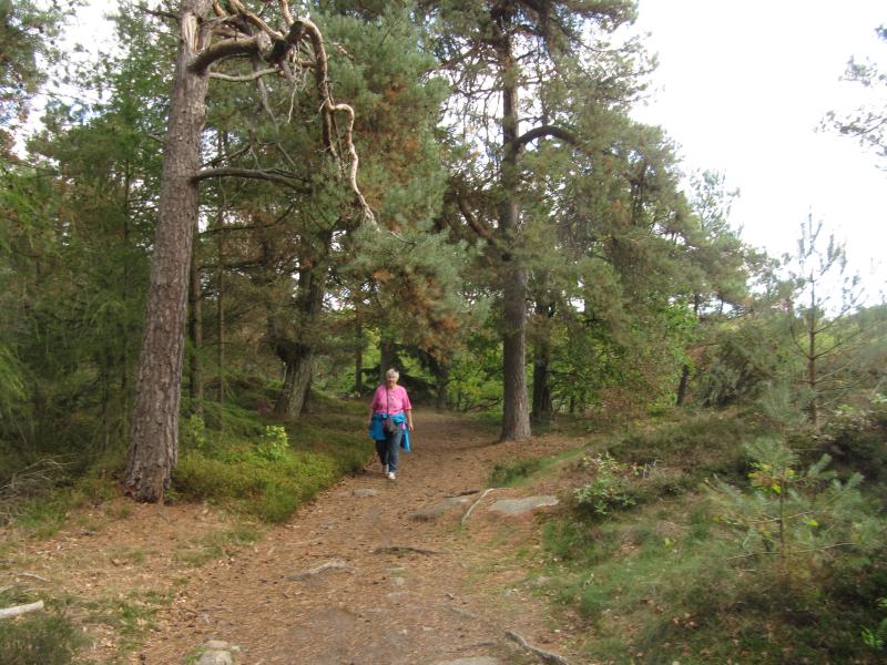 Paradisbakkerne-Wanderweg-1