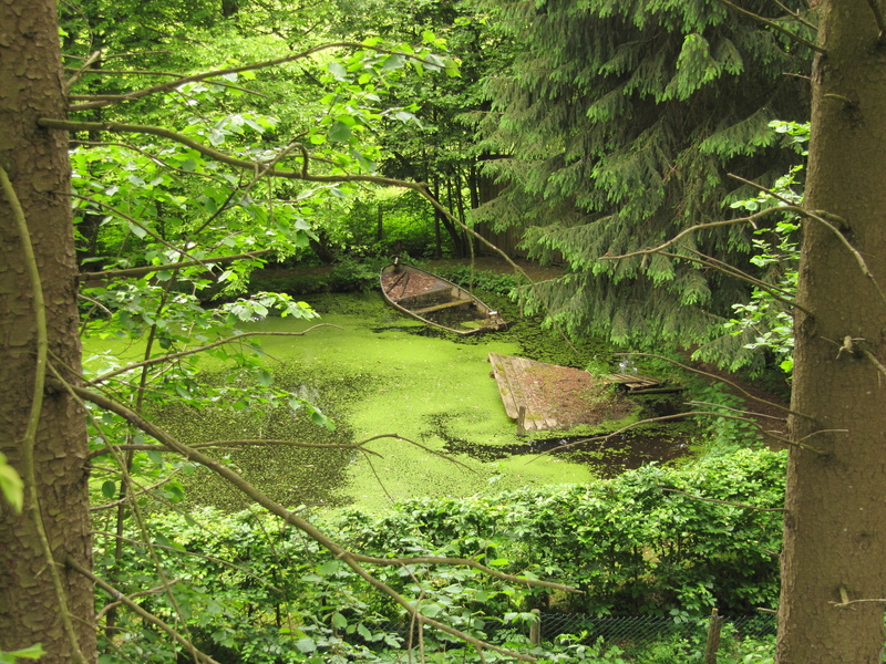 verlassener Fischteich