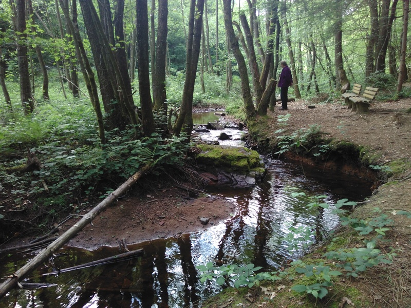 Spaziergang am Panzbach 1