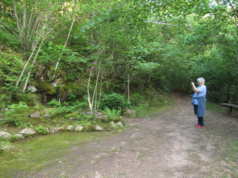 Spaziergang im Schlüchtetal 2